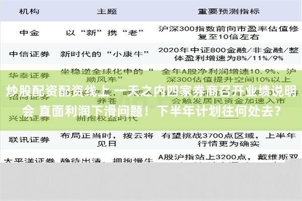 炒股配资配资线上 一天之内四家券商召开业绩说明会 直面利润下滑问题！下半年计划往何处去？