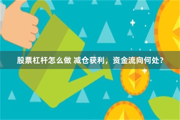 股票杠杆怎么做 减仓获利，资金流向何处？