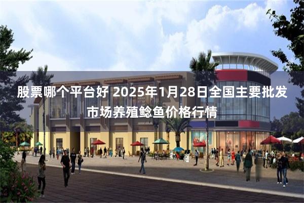 股票哪个平台好 2025年1月28日全国主要批发市场养殖鲶鱼价格行情