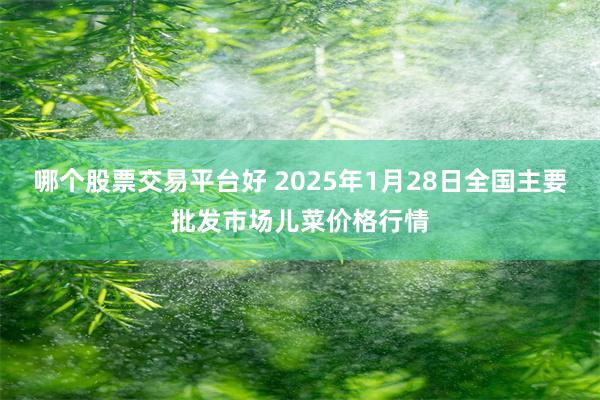 哪个股票交易平台好 2025年1月28日全国主要批发市场儿菜价格行情