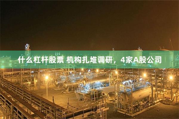 什么杠杆股票 机构扎堆调研，4家A股公司