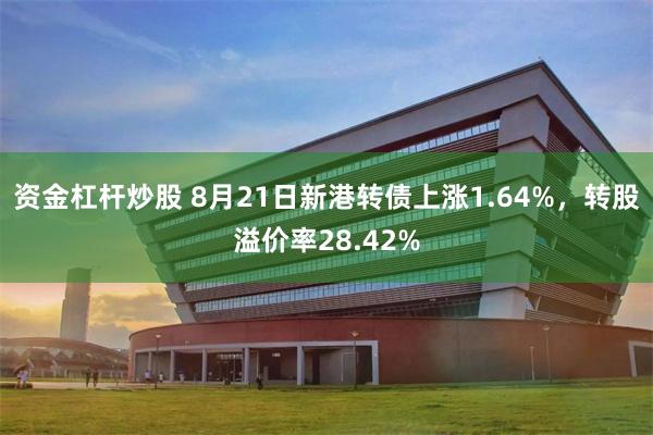资金杠杆炒股 8月21日新港转债上涨1.64%，转股溢价率28.42%