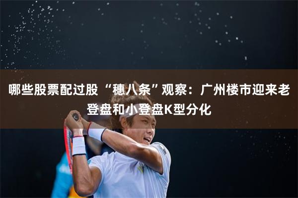 哪些股票配过股 “穗八条”观察：广州楼市迎来老登盘和小登盘K型分化