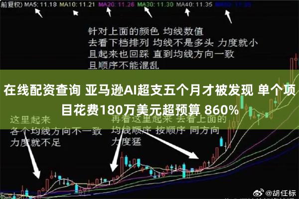 在线配资查询 亚马逊AI超支五个月才被发现 单个项目花费180万美元超预算 860%