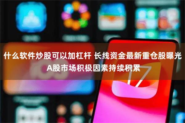 什么软件炒股可以加杠杆 长线资金最新重仓股曝光 A股市场积极因素持续积累