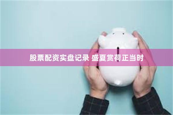 股票配资实盘记录 盛夏赏荷正当时