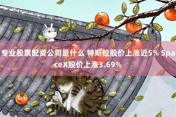 专业股票配资公司是什么 特斯拉股价上涨近5% SpaceX股价上涨3.69%